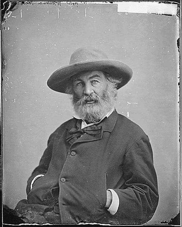 The Scourge of the Montage